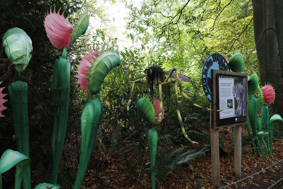 Woodland Park Zoo — photo 41